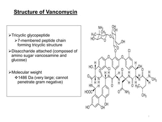 Structure of Vancomycin
Tricyclic glycopeptide
7-membered peptide chain
forming tricyclic structure
Disaccharide attached (composed of
amino sugar vancosamine and
glucose)
Molecular weight
1486 Da (very large; cannot
penetrate gram negative)
7
 