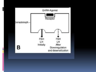 GnRH analogues and addback therapy | PPT