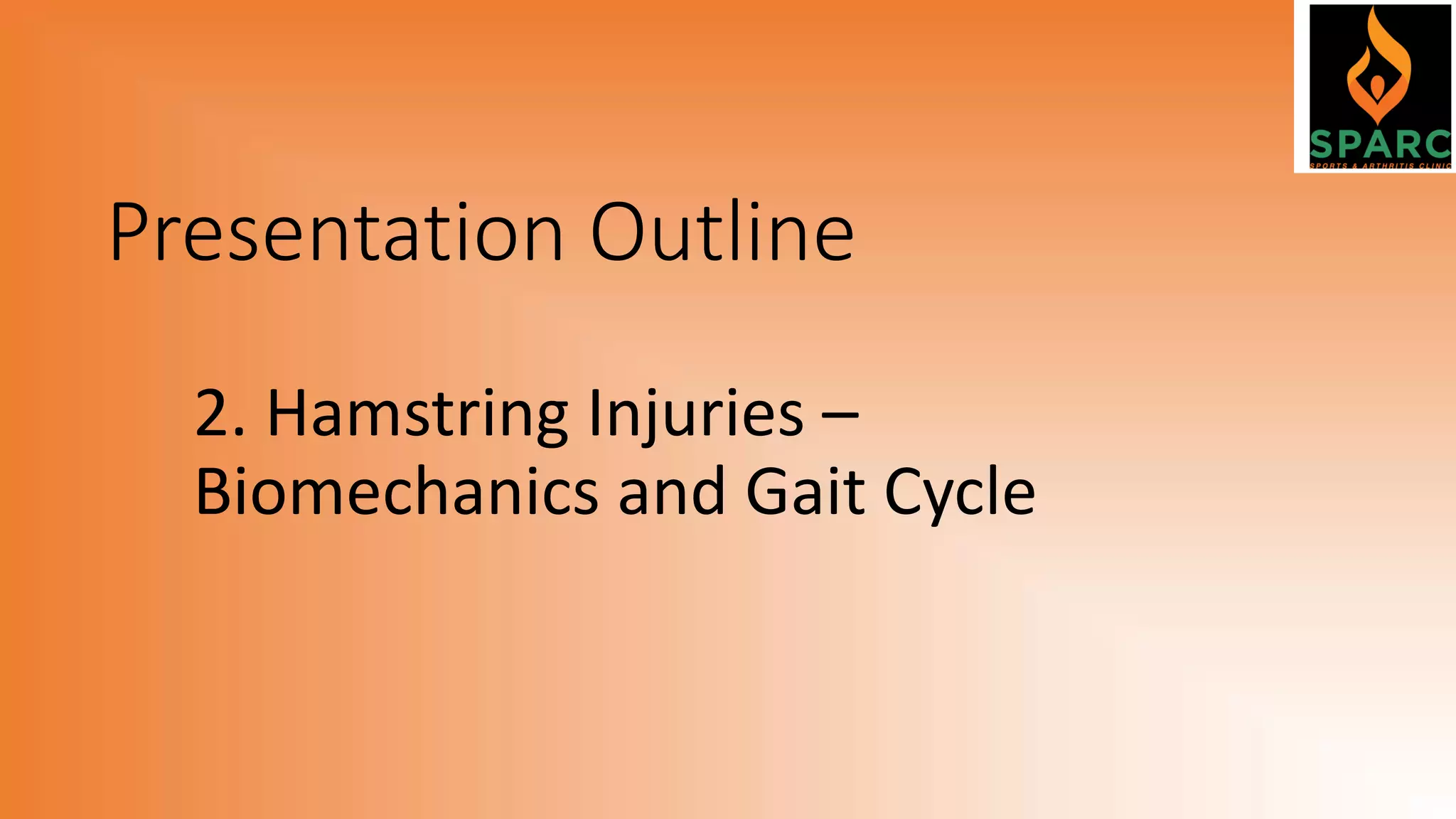 Presentation Outline
2. Hamstring Injuries –
Biomechanics and Gait Cycle
 