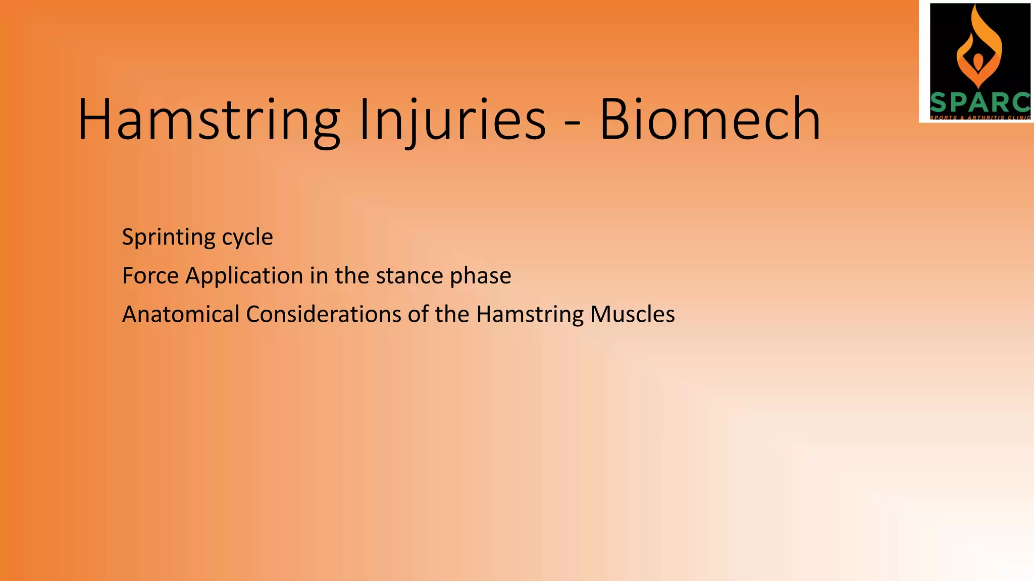 Hamstring Injuries - Biomech
Sprinting cycle
Force Application in the stance phase
Anatomical Considerations of the Hamstring Muscles
 