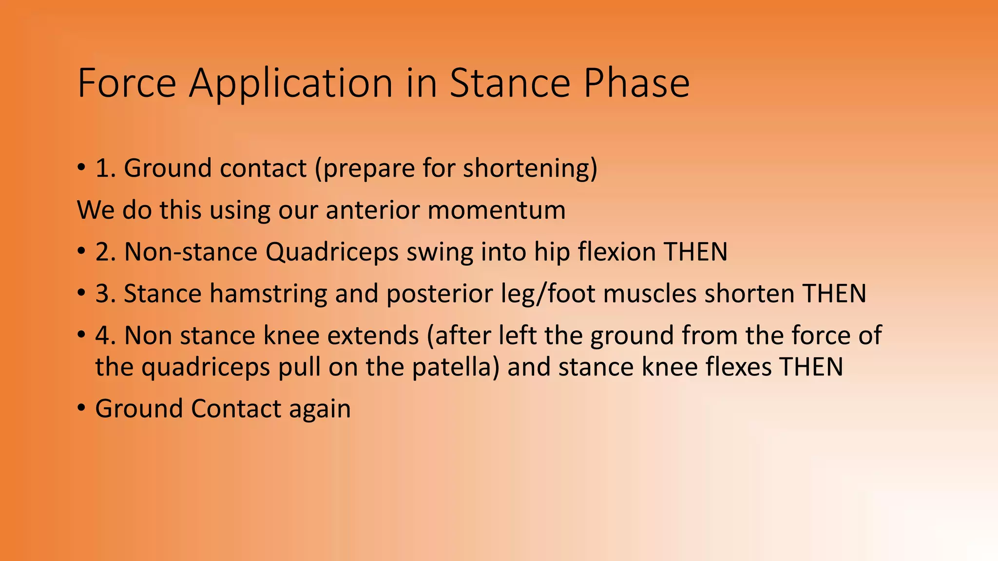 Force Application in Stance Phase
• 1. Ground contact (prepare for shortening)
We do this using our anterior momentum
• 2. Non-stance Quadriceps swing into hip flexion THEN
• 3. Stance hamstring and posterior leg/foot muscles shorten THEN
• 4. Non stance knee extends (after left the ground from the force of
the quadriceps pull on the patella) and stance knee flexes THEN
• Ground Contact again
 