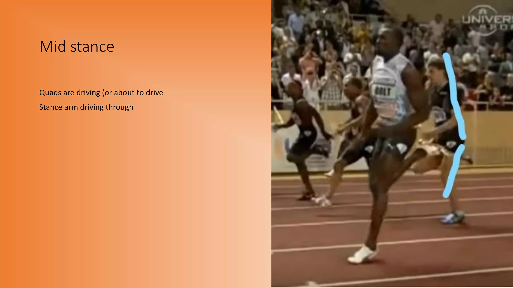 Mid stance
Quads are driving (or about to drive
Stance arm driving through
 