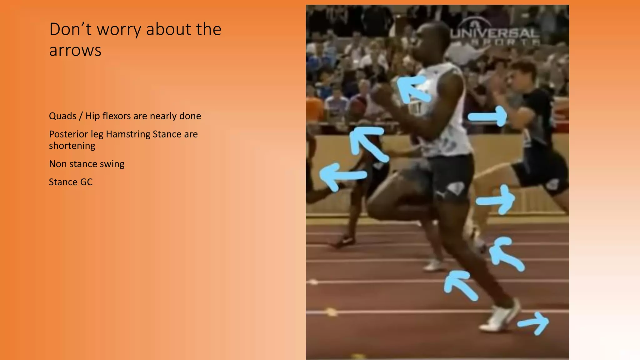 Don’t worry about the
arrows
Quads / Hip flexors are nearly done
Posterior leg Hamstring Stance are
shortening
Non stance swing
Stance GC
 