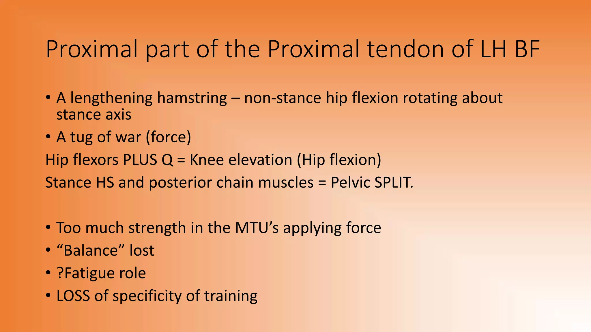 Proximal part of the Proximal tendon of LH BF
• A lengthening hamstring – non-stance hip flexion rotating about
stance axis
• A tug of war (force)
Hip flexors PLUS Q = Knee elevation (Hip flexion)
Stance HS and posterior chain muscles = Pelvic SPLIT.
• Too much strength in the MTU’s applying force
• “Balance” lost
• ?Fatigue role
• LOSS of specificity of training
 