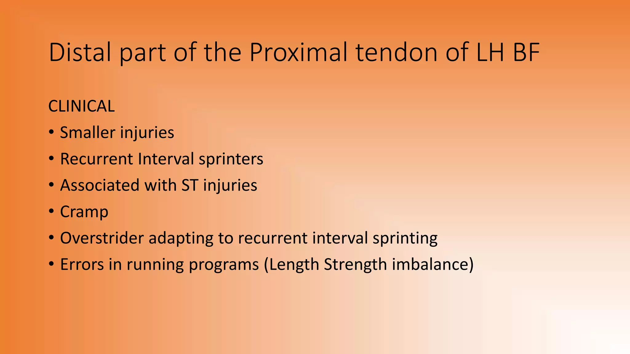 Distal part of the Proximal tendon of LH BF
CLINICAL
• Smaller injuries
• Recurrent Interval sprinters
• Associated with ST injuries
• Cramp
• Overstrider adapting to recurrent interval sprinting
• Errors in running programs (Length Strength imbalance)
 