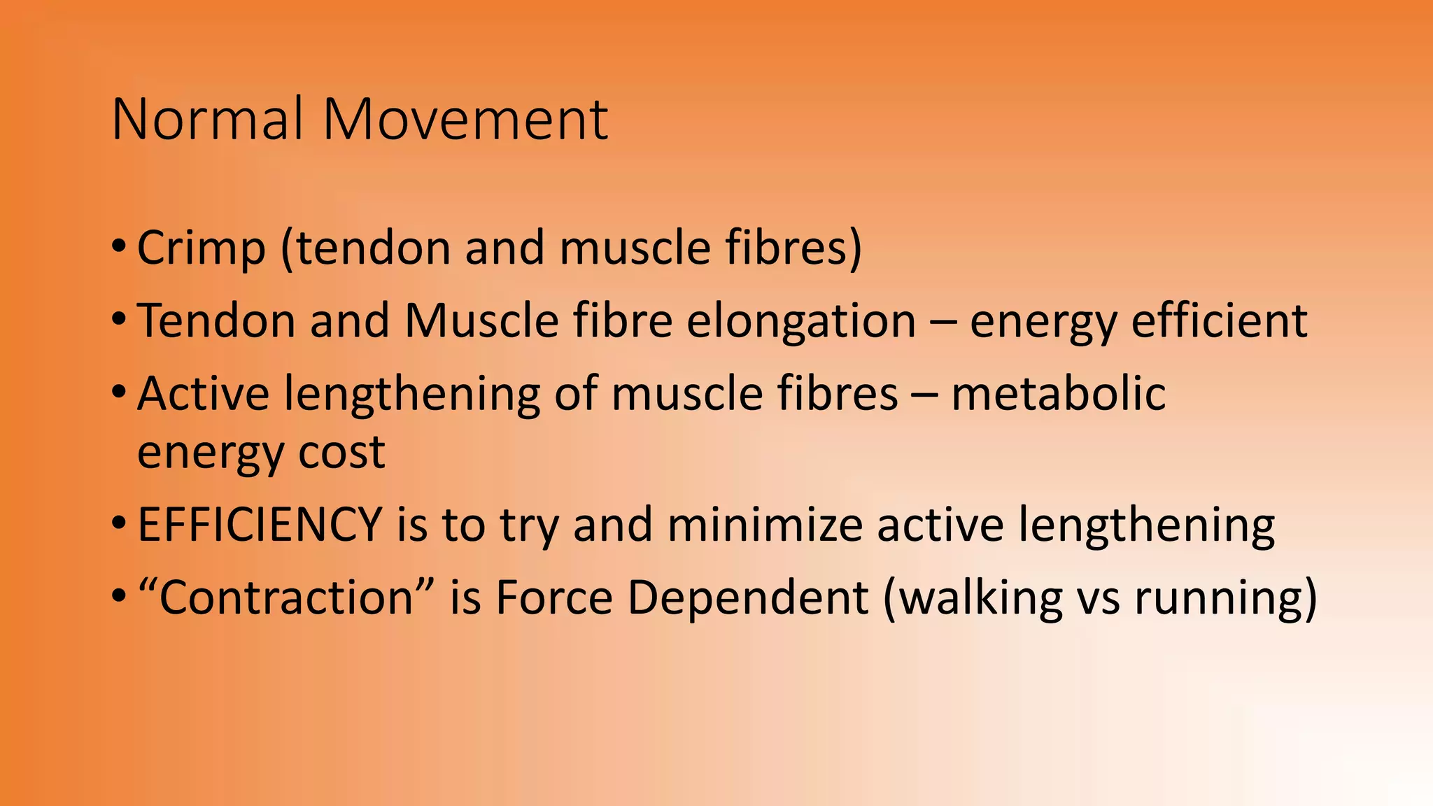 Normal Movement
• Crimp (tendon and muscle fibres)
• Tendon and Muscle fibre elongation – energy efficient
• Active lengthening of muscle fibres – metabolic
energy cost
• EFFICIENCY is to try and minimize active lengthening
• “Contraction” is Force Dependent (walking vs running)
 