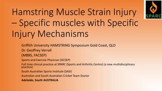Hamstring Muscle Strain Injury
– Specific muscles with Specific
Injury Mechanisms
Griffith University HAMSTRING Symposium Gold Coast, QLD
Dr. Geoffrey Verrall
(MBBS, FACSEP)
Sports and Exercise Physician (ACSEP)
Full time clinical practice at SPARC (Sports and Arthritis Centre) (a new multidisciplinary
practice)
South Australian Sports Institute (SASI)
Australian and South Australian Cricket Team Doctor
Adelaide, South AUSTRALIA
 