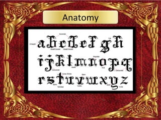 Anatomy
 