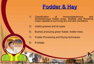 Fodder & Hay Classification of monocotyledonous and dicotyledonous fodder crops. Multiple year flowering crops capable to surviving dry and arid conditions.  Useful grasses and its types. Bushes producing green fodder, fodder trees. Fodder Processing and Drying techniques.  Ensilage. 