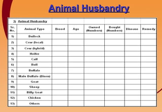 Animal Husbandry 