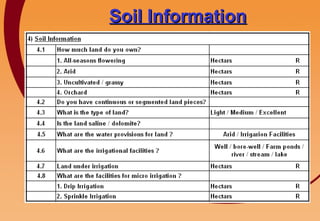 Soil Information 