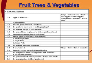 Fruit Trees & Vegetables   