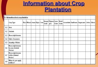 Information about Crop Plantation 