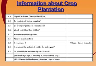 Information about Crop Plantation 