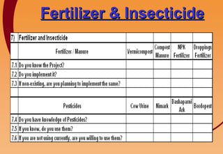 Fertilizer & Insecticide 