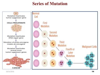 Series of Mutation
1410/12/2016
 