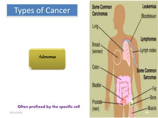 Types of Cancer
Often prefixed by the specific cell
Adenomas
1510/12/2016
 