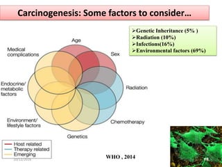 Carcinogenesis: Some factors to consider…
Genetic Inheritance (5% )
Radiation (10%)
Infections(16%)
Environmental factors (69%)
WHO , 2014 1810/12/2016
 