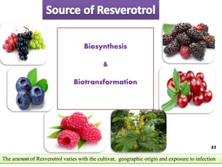 Grapes (skin &
seeds)
Blueberry
Raspberry
Mulberry
Cran berry
Senna
The amount of Resverotrol varies with the cultivar, geographic origin and exposure to infection
Biosynthesis
&
Biotransformation
23
10/12/2016
 