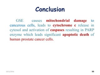 Conclusion
GSE causes mitochondrial damage to
cancerous cells, leads to cytochrome c release in
cytosol and activation of caspases resulting in PARP
enzyme which leads significant apoptotic death of
human prostate cancer cells.
3310/12/2016
 