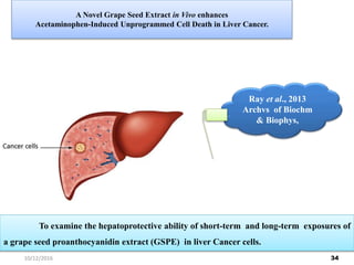 A Novel Grape Seed Extract in Vivo enhances
Acetaminophen-Induced Unprogrammed Cell Death in Liver Cancer.
To examine the hepatoprotective ability of short-term and long-term exposures of
a grape seed proanthocyanidin extract (GSPE) in liver Cancer cells.
Ray et al., 2013
Archvs of Biochm
& Biophys,
3410/12/2016
 