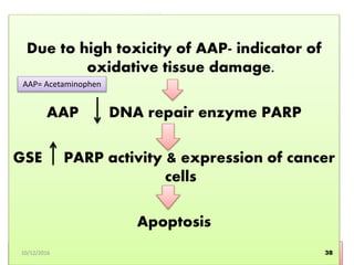 Figure 3: Magnified view of normal hepatocytes undergoing terminal stages of
apoptosis
Due to high toxicity of AAP- indicator of
oxidative tissue damage.
AAP DNA repair enzyme PARP
GSE PARP activity & expression of cancer
cells
Apoptosis
3810/12/2016
AAP= Acetaminophen
 