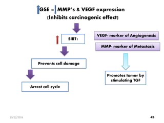 GSE = MMP’s & VEGF expression
(Inhibits carcinogenic effect)
VEGF- marker of Angiogenesis
MMP- marker of Metastasis
Promotes tumor by
stimulating TGF
SIRT1
Prevents cell damage
Arrest cell cycle
4510/12/2016
 
