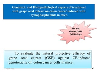 Genotoxic and Histopathological aspects of treatment
with grape seed extract on colon cancer induced with
cyclophosphamide in mice
To evaluate the natural protective efficacy of
grape seed extract (GSE) against CP-induced
genotoxicity of colon cancer cells in mice.
Ela and
Omara, 2014
Cell Biology
4710/12/2016
 