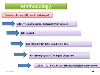 Methodology
56 mice = 4 groups (14 mice in each group)
G1: Cyclo phosphamide induced (40mg/kg/day)
G2: Control
G3: 75mg/kg/day GSE liquid (Low dose)
G4: 150mg/kg/day GSE liquid (High dose)
After 1, 7, 14 & 30th day- Histopathological observations
4810/12/2016
 