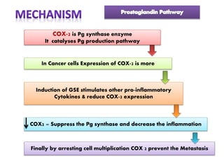 Induction of GSE stimulates other pro-inflammatory
Cytokines & reduce COX-2 expression
In Cancer cells Expression of COX-2 is more
COX-2 is Pg synthase enzyme
It catalyses Pg production pathway
COX2 = Suppress the Pg synthase and decrease the inflammation
Finally by arresting cell multiplication COX 2 prevent the Metastasis
 