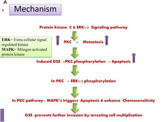 Figure 3: Western blot of PKC and ERK Expression in HT-29 cells
57
10/12/2016
Protein kinase C & ERK1/2 Signaling pathway
PKC = Metastasis
Induced GSE =PKC phosphorylation = Apoptosis
In PKC = ERK1/2 phosphorylation
In PKC pathway= MAPK’s triggers Apoptosis & enhance Chemosensitivity
GSE prevents further Invasion by arresting cell multiplication
Mechanism
ERK= Extra cellular signal
regulated kinase
MAPK= Mitogen activated
protein kinase
 