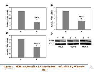 Figure 1. PKM2 expression on Resveratrol induction by Western
blot
61
10/12/2016
 