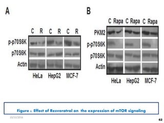 Figure 2. Effect of Resveratrol on the expression of mTOR signaling
62
10/12/2016
 