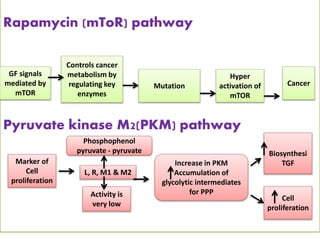 Rapamycin (mToR) pathway
Pyruvate kinase M2(PKM) pathway
Marker of
Cell
proliferation
Biosynthesi
TGF
Activity is
very low
L, R, M1 & M2
Hyper
activation of
mTOR
Mutation
Controls cancer
metabolism by
regulating key
enzymes
GF signals
mediated by
mTOR
Phosphophenol
pyruvate - pyruvate
Increase in PKM
Accumulation of
glycolytic intermediates
for PPP
Cell
proliferation
Cancer
 