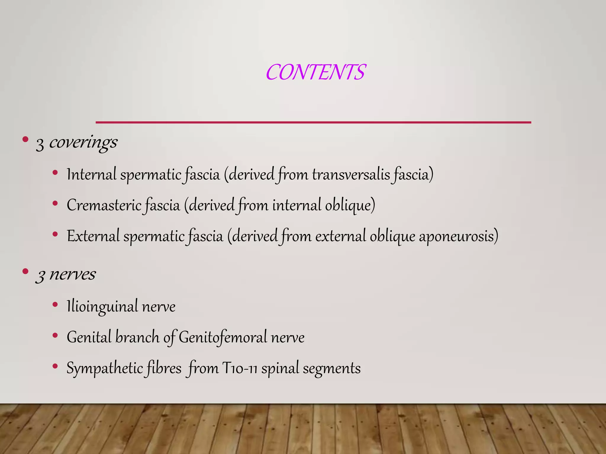 INGUINAL HERNIA HERNIA.ppt