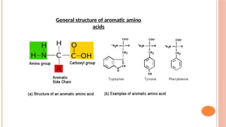 General structure of aromatic amino
acids
 