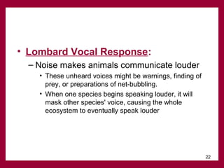 • Lombard Vocal Response:
– Noise makes animals communicate louder
• These unheard voices might be warnings, finding of
prey, or preparations of net-bubbling.
• When one species begins speaking louder, it will
mask other species' voice, causing the whole
ecosystem to eventually speak louder

22

 