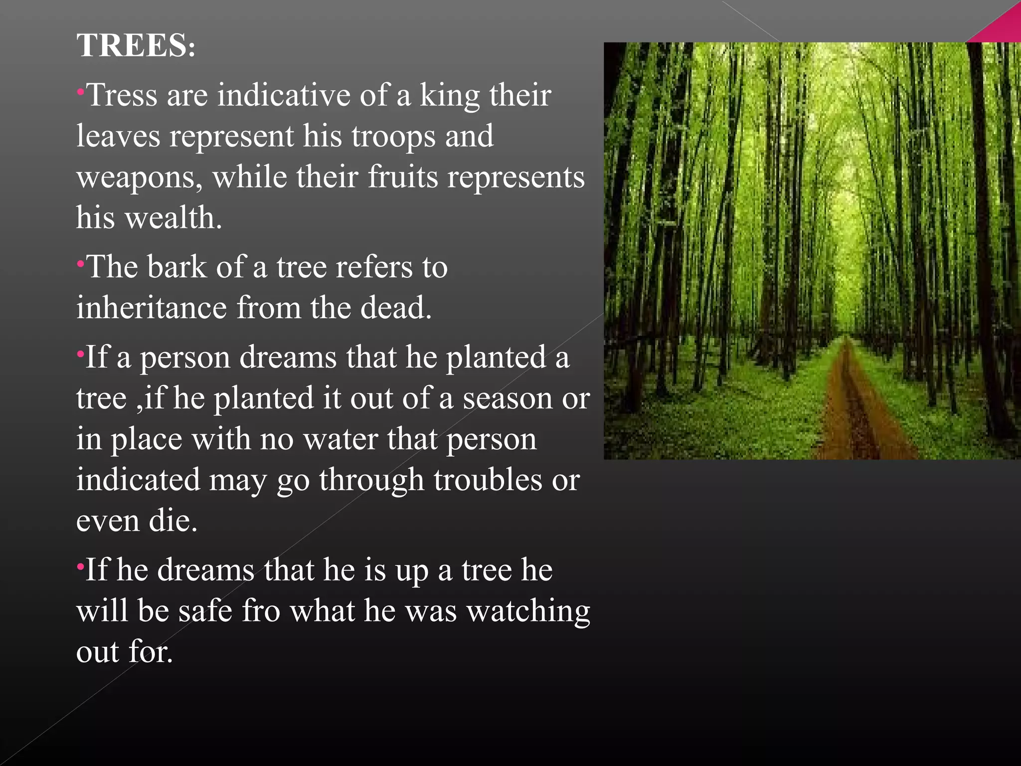 TREES:
•Tress are indicative of a king their
leaves represent his troops and
weapons, while their fruits represents
his wealth.
•The bark of a tree refers to
inheritance from the dead.
•If a person dreams that he planted a
tree ,if he planted it out of a season or
in place with no water that person
indicated may go through troubles or
even die.
•If he dreams that he is up a tree he
will be safe fro what he was watching
out for.

 
