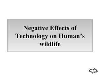 Negative Effects of
Technology on Human’s
wildlife

1

 