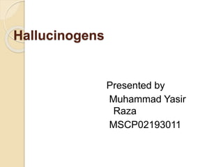 Hallucinogens
Presented by
Muhammad Yasir
Raza
MSCP02193011
 