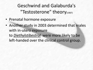 Geschwind and Galaburda's 
"Testosterone" theory(1987) 
• Prenatal hormone exposure 
• Another study in 2003 determined that males 
with in-utero exposure 
to Diethylstibestrol were more likely to be 
left-handed over the clinical control group. 
 
