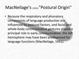 MacNeilage's (1991) "Postural Origin" 
• Because the respiratory and phonatory 
components of language production are 
influenced by postural factors, and facial and 
whole-body communicative gestures played a 
principal role in early communication, the left 
hemisphere may have been predisposed for 
language functions (MacNeilage, 1991). 
 