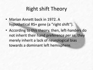 Right shift Theory 
• Marian Annett back in 1972. A 
hypothetical RS+ gene (a “right shift”). 
• According to this theory, then, left-handers do 
not inherit their hand preference per se, they 
merely inherit a lack of neurological bias 
towards a dominant left hemisphere. 
 