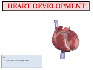 HEART DEVELOPMENT
By
Dr.ABHINAV MAHESHWARI
 