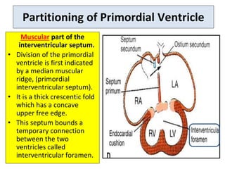 Crescentic Ridge development of heart.pptx