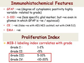 Immunohistochemical Features
• GFAP : +ve (degree of cytoplasmic positivity highly
variable- related to grade)
• S-100 : +ve (less specific glial marker; but +ve even in
gliomas in which GFAP is –ve / equivocal)
• CK : –ve (false +ve with AE1/AE3 cocktail; not with CAM 5.2)
• EMA : –ve
Proliferation Index
 MIB-1 labeling index correlates with grade
– Grade I : 1-2%
– Grade II: <5%
– Grade III: 5-10%
– Grade IV: >10-20%
 