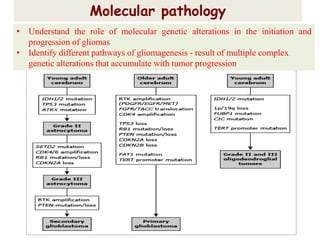 Molecular pathology
• Understand the role of molecular genetic alterations in the initiation and
progression of gliomas
• Identify different pathways of gliomagenesis - result of multiple complex
genetic alterations that accumulate with tumor progression
 
