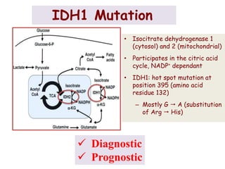 IDH1 Mutation
 Diagnostic
 Prognostic
• Isocitrate dehydrogenase 1
(cytosol) and 2 (mitochondrial)
• Participates in the citric acid
cycle, NADP+ dependant
• IDH1: hot spot mutation at
position 395 (amino acid
residue 132)
– Mostly G  A (substitution
of Arg  His)
 