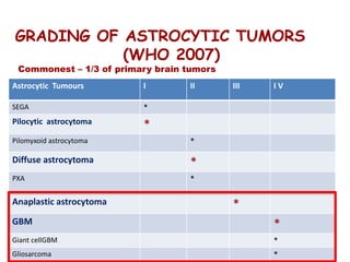 GRADING OF ASTROCYTIC TUMORS
(WHO 2007)
Commonest – 1/3 of primary brain tumors
Astrocytic Tumours I II III I V
SEGA *
Pilocytic astrocytoma
*
Pilomyxoid astrocytoma *
Diffuse astrocytoma *
PXA *
Anaplastic astrocytoma *
GBM *
Giant cellGBM *
Gliosarcoma *
 