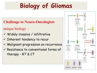 Challenge to Neuro-Oncologists
unique biology :
 Widely invasive / infiltrative
 Inherent tendency to recur
 Malignant progression on recurrence
 Resistance to conventional forms of
therapy - RT & CT
Biology of Gliomas
 